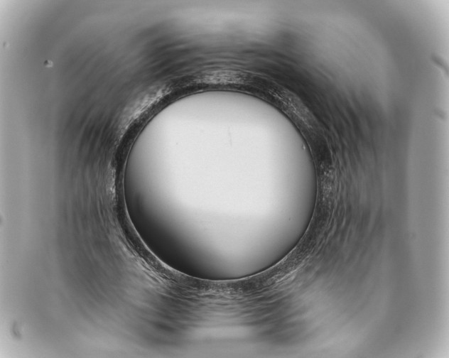 X0000095920727200802011212