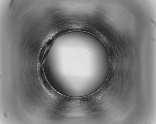 X0000095920728200802011212