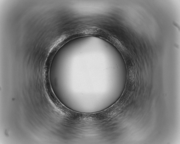 X0000095920730200802011212