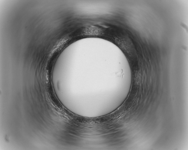 X0000095920731200802011212