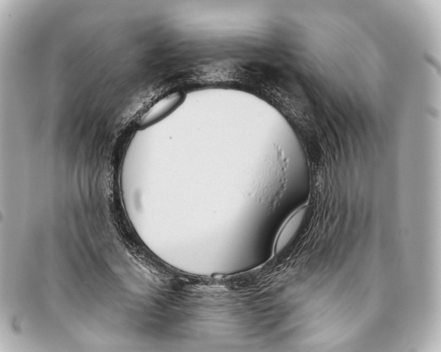 X0000095920732200802011212