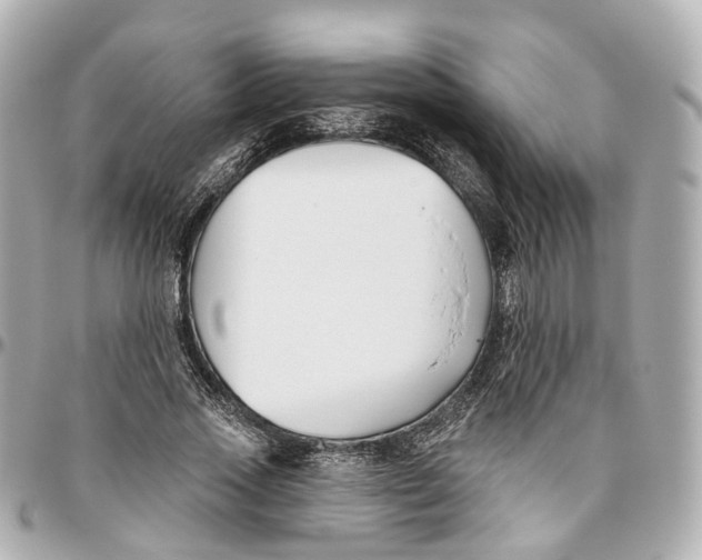 X0000095920733200802011212