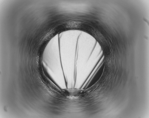 X0000095920735200802011212