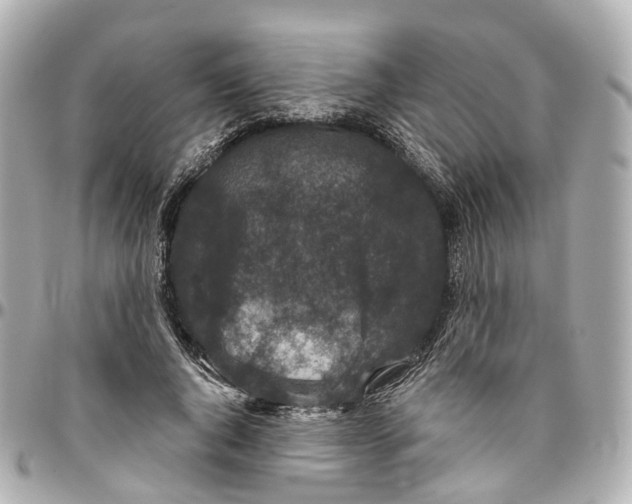 X0000095920736200802011212