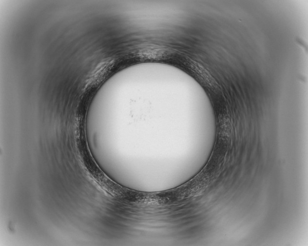 X0000095920738200802011212