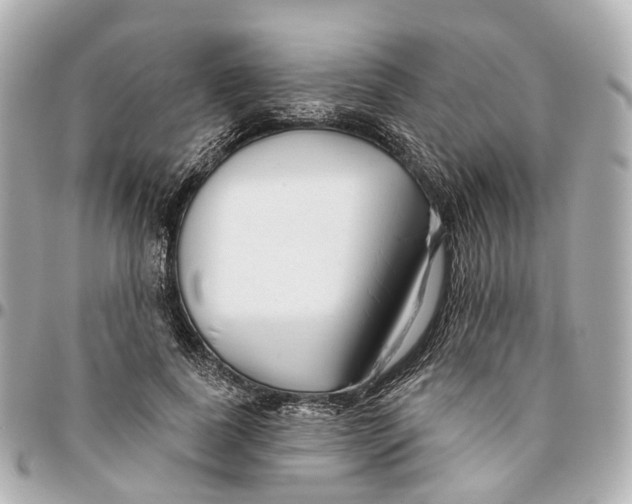 X0000095920739200802011212