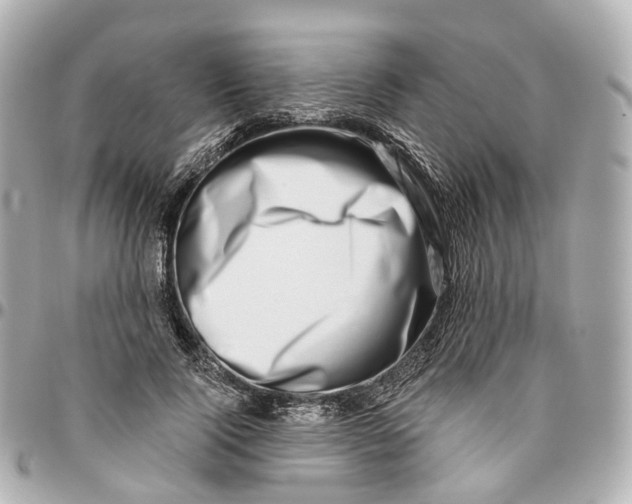 X0000095920740200802011212