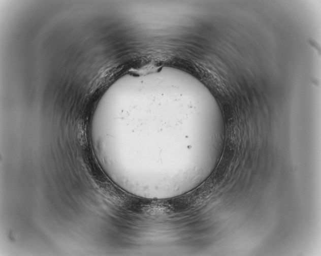 X0000095920743200802011212