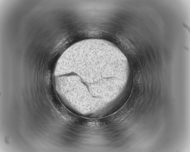 X0000095920744200802011212