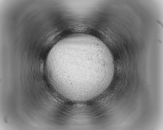 X0000095920745200802011212