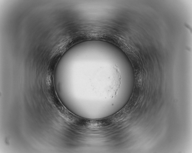 X0000095920746200802011212