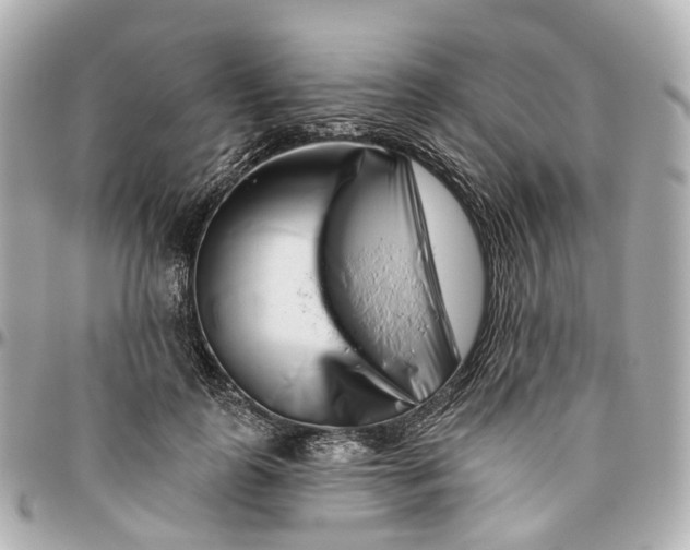 X0000095920747200802011212