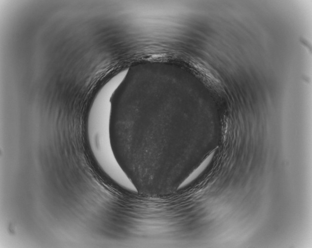 X0000095920748200802011212