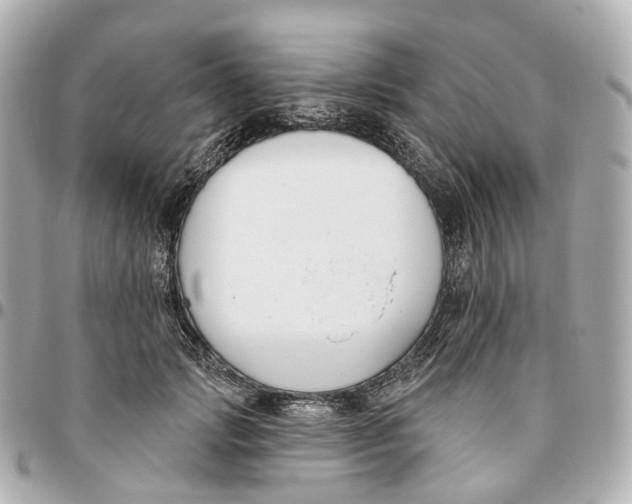 X0000095920749200802011212