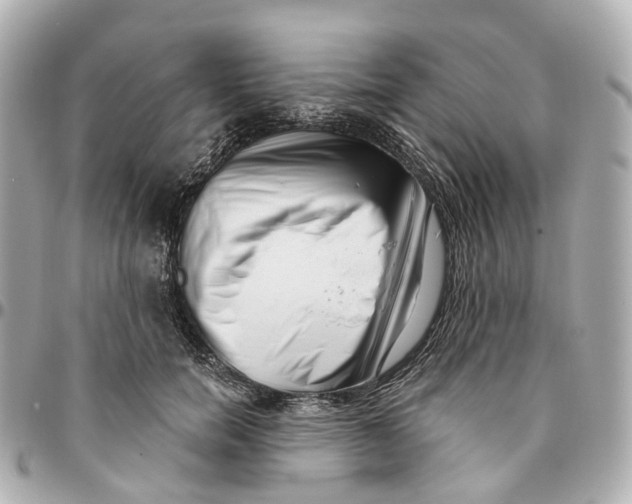 X0000095920750200802011212