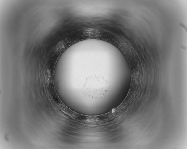 X0000095920752200802011212