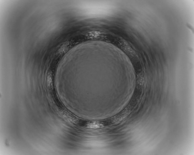 X0000095920754200802011212