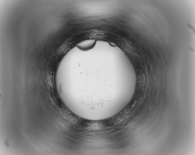 X0000095920755200802011212