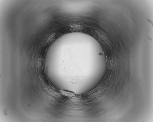 X0000095920756200802011212