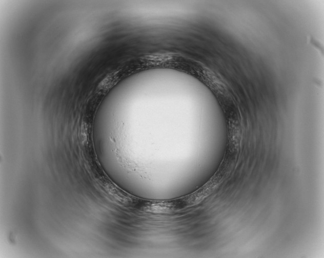 X0000095920758200802011212