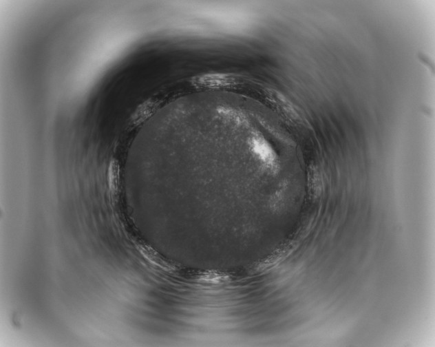 X0000095920760200802011212