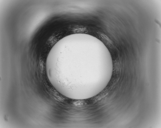 X0000095920761200802011212