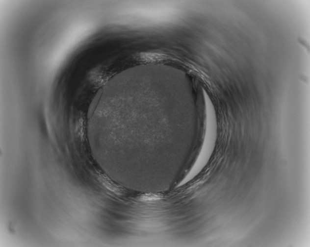 X0000095920762200802011212