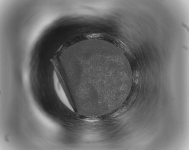 X0000095920763200802011212