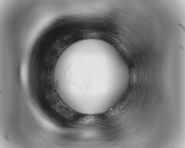 X0000095920764200802011212