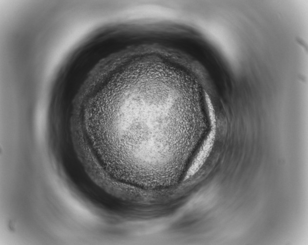 X0000095920765200802011213