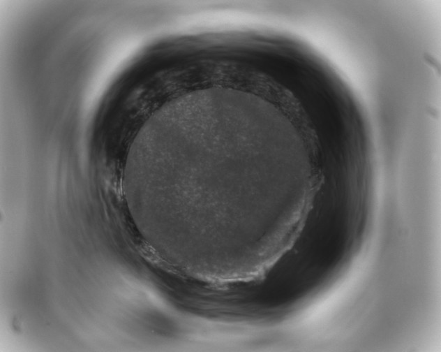 X0000095920766200802011213