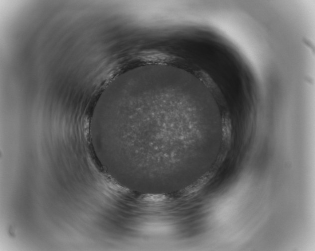 X0000095920767200802011213