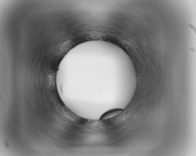 X0000095920768200802011213