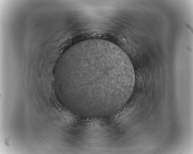 X0000095920769200802011212