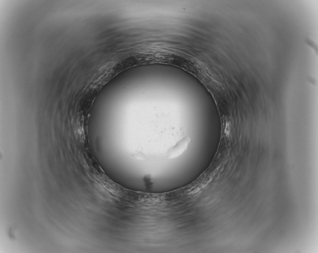 X0000095920771200802011212