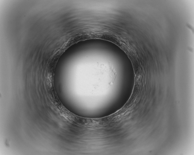 X0000095920772200802011212