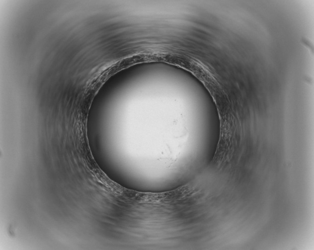 X0000095920773200802011212