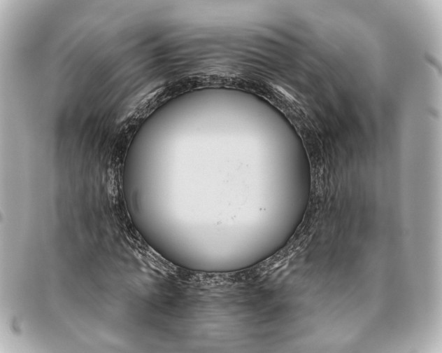 X0000095920774200802011212