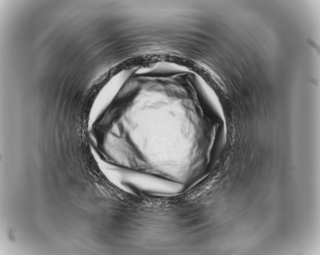 X0000095920775200802011212