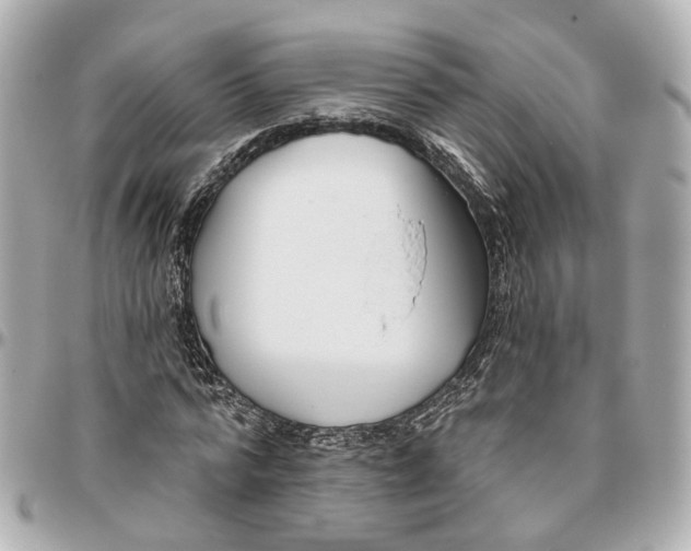 X0000095920776200802011212