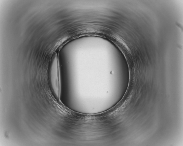 X0000095920777200802011212