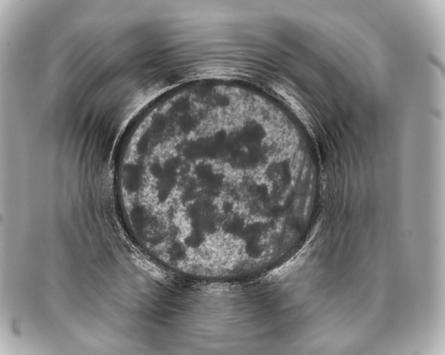 X0000095920779200802011212