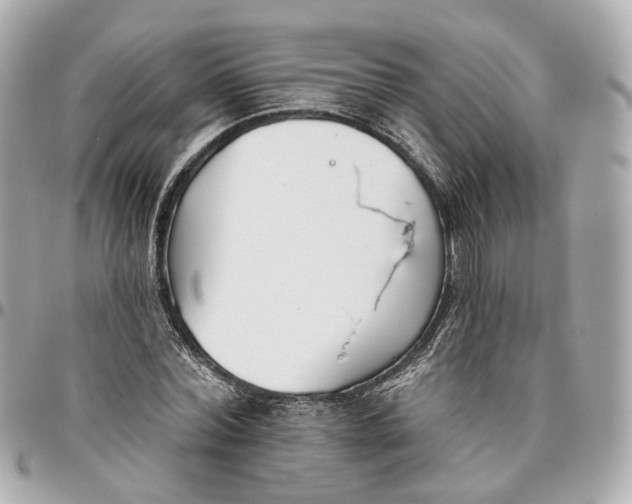 X0000095920780200802011212