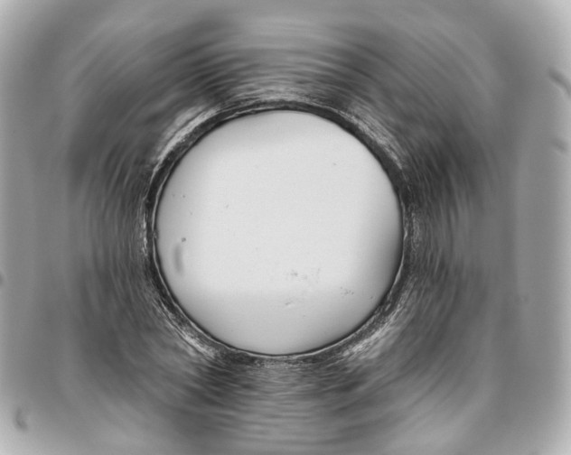 X0000095920782200802011212