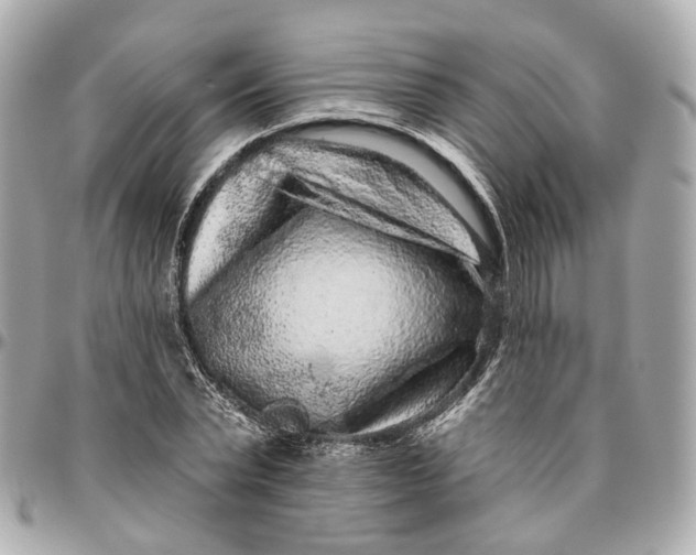 X0000095920783200802011212