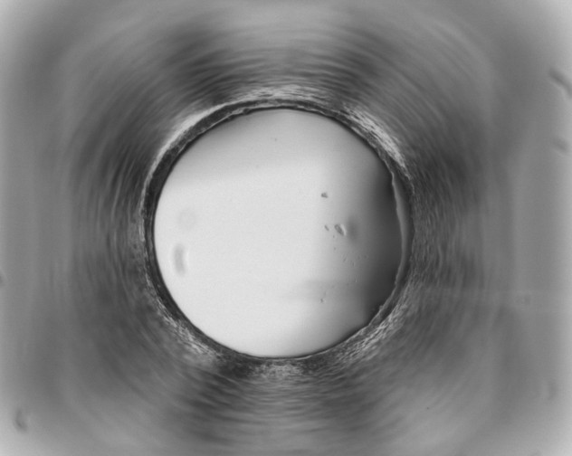 X0000095920784200802011212