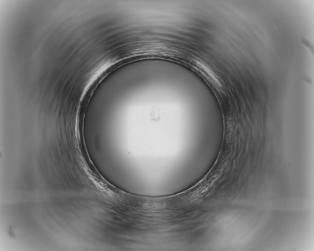 X0000095920788200802011212