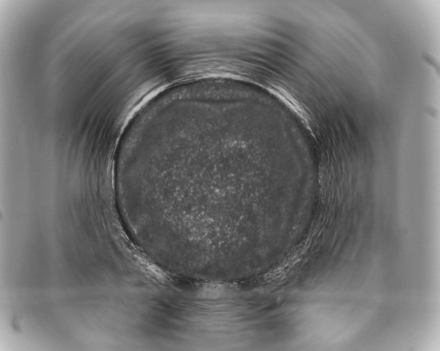 X0000095920790200802011212