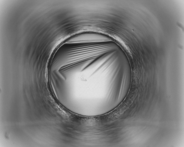 X0000095920791200802011212