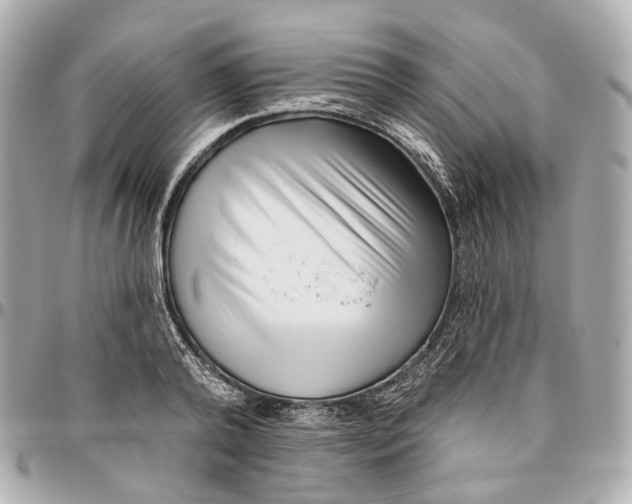 X0000095920792200802011212